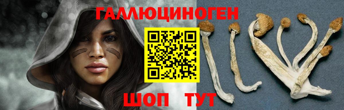 Галлюциногенные грибы мухоморы  Вход с VPN  Галлюциногенные грибы MAGIC MUSHROOMS  Партизанск 